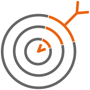 custom-icon