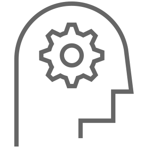 custom-icon